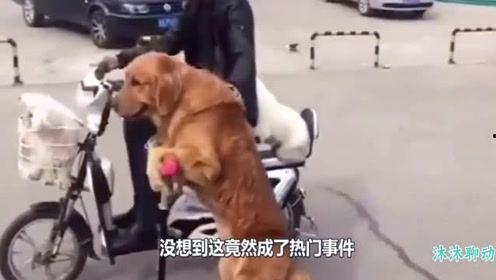 有番号在线视频免费观看,解锁精彩瞬间，尽在云端影院