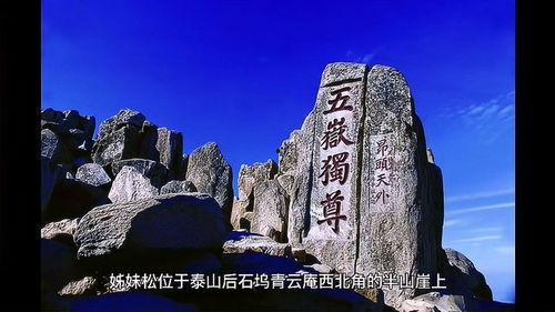 大片泰山在线视频播放,大片在线播放，尽享视觉盛宴