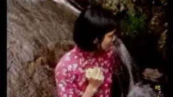 蛇舌在线视频播放,揭秘神秘蛇类生活，带你领略自然奇观