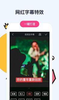 将在线视频字幕下载,字幕下载新体验