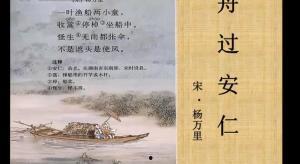 丹过安仁在线视频,探索传统与现代交融的奇妙之旅